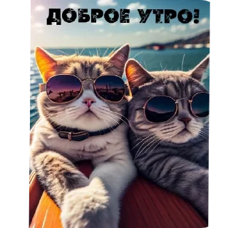 Стикер Доброе утро - 7