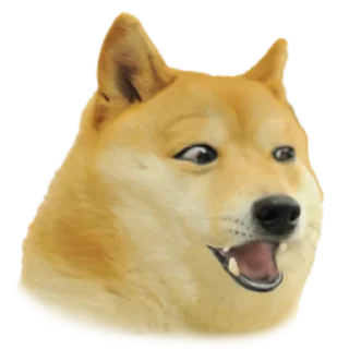 Doge Edits 4 Doge Edits 4 - собака