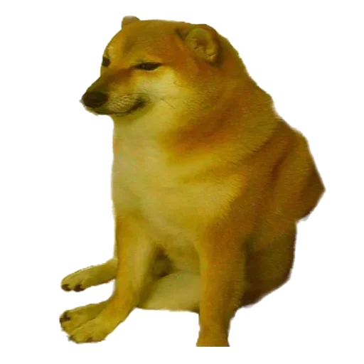 Собака - @Anime_Aliexpresss Собака - @Anime_Aliexpresss -