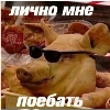 Анальные утехи Анальные утехи - СМС