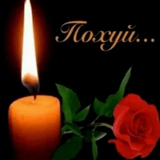candle candle wax rose