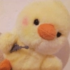 Duck or not Duck or not -