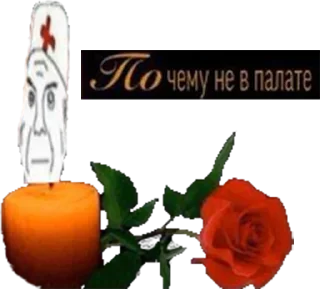 Sticker Дурка - 2