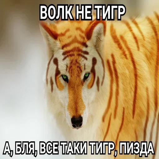 Создай свои стикеры - @sozdsti_bot Создай свои стикеры - @sozdsti_bot -