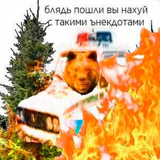 E 8 А 7 Ь E 8 А 7 Ь - animal