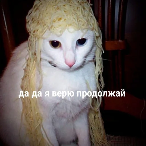 Dlavagnogo Dlavagnogo -