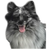Edinorozhk Edinorozhk -