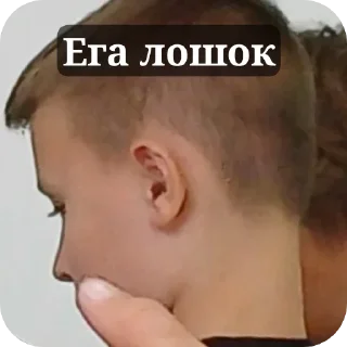 Стикер Ега лох - 0