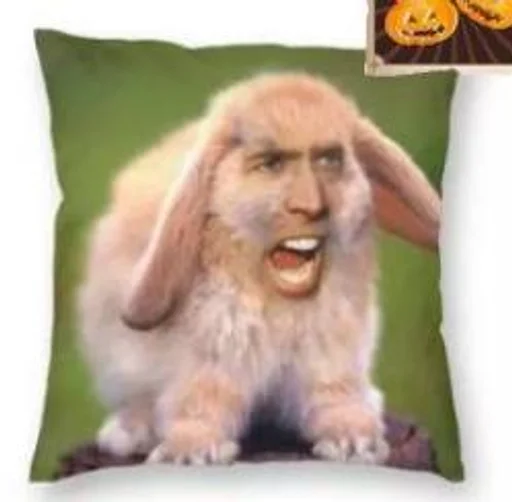 mammal mammal bunny rabbit