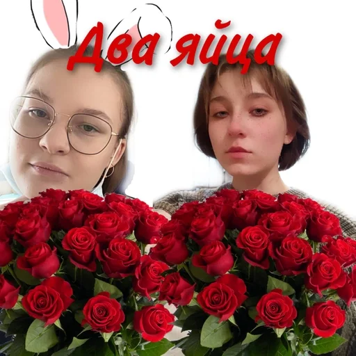 rose rose cut flowers human face