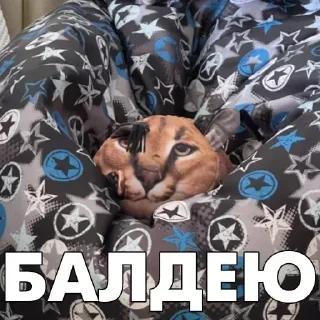 Стикер Стикеры 👉 @EmojiKolStickersBot - 0