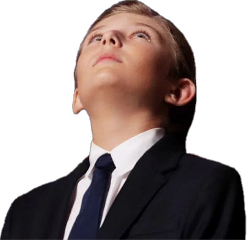 Стикер Future Emperor Barron Trump - 10 Стикер Future Emperor Barron Trump - 10