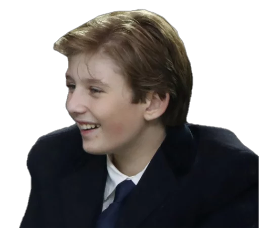 Стикер Future Emperor Barron Trump - 9 Стикер Future Emperor Barron Trump - 9