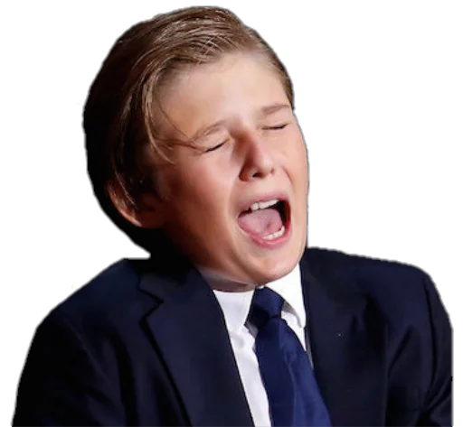 Стикер Future Emperor Barron Trump - 8 Стикер Future Emperor Barron Trump - 8