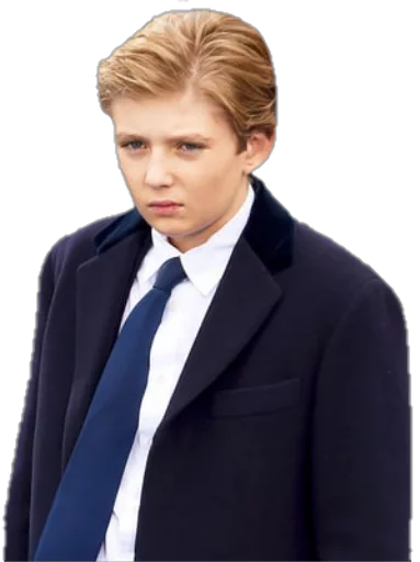 Стикер Future Emperor Barron Trump - 7 Стикер Future Emperor Barron Trump - 7