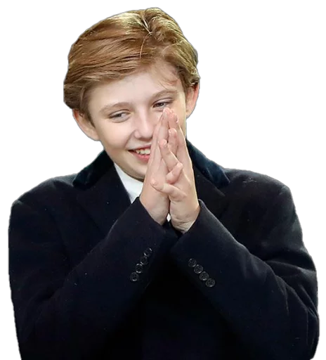 Стикер Future Emperor Barron Trump - 4 Стикер Future Emperor Barron Trump - 4