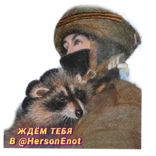 Sticker Enot_iz_Hersona - 0