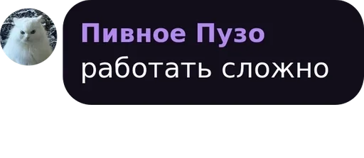 text text screenshot