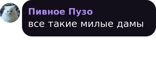 text text screenshot font
