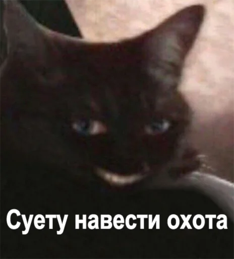 Error 2 Error 2 - animal