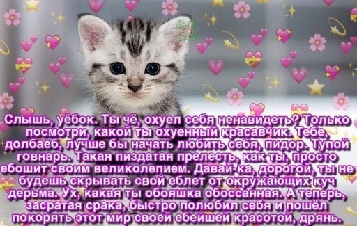 мило ебать by @fStikBot мило ебать by @fStikBot -
