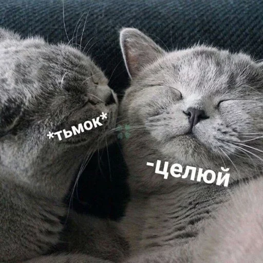 больше стиков @poshlstiker больше стиков @poshlstiker -