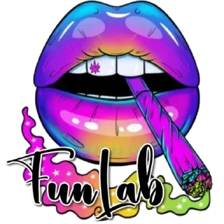 Sticker FunLab have fun - 0