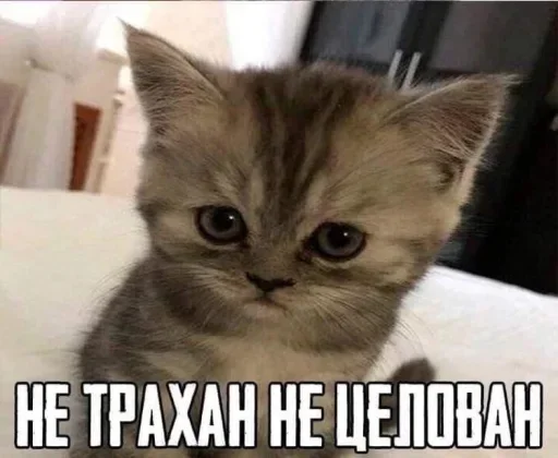@sticksbb <— больше стиков💓💘💞 @sticksbb <— больше стиков💓💘💞 -