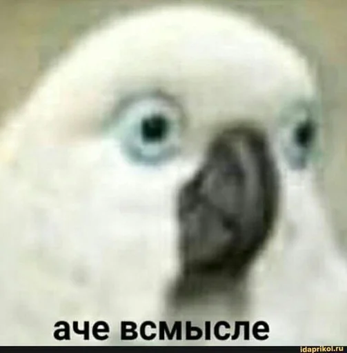 ЫЫ :: @fStikBot ЫЫ :: @fStikBot -