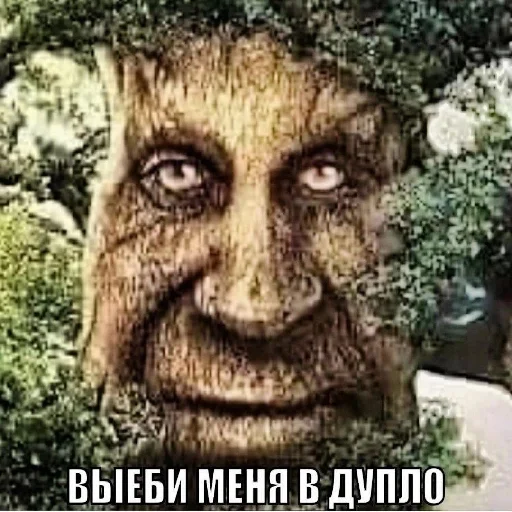 Дуб🌳 Дуб🌳 -