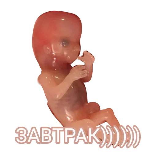 HexadVetIdyl :: @fStikBot HexadVetIdyl :: @fStikBot -