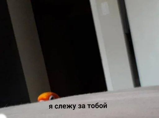 text text screenshot indoor