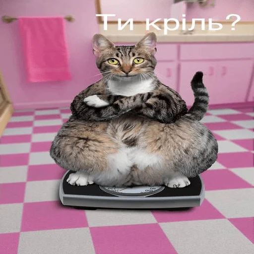Жизові стікери Жизові стікери -