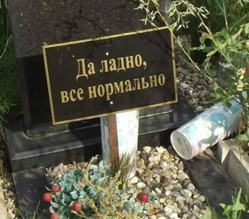 text text plant outdoor