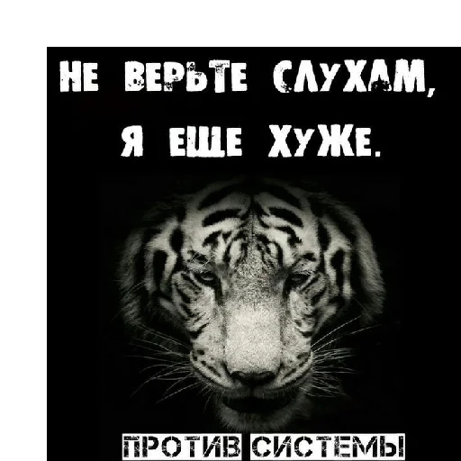 New podborka @Flay09 New podborka @Flay09 - text