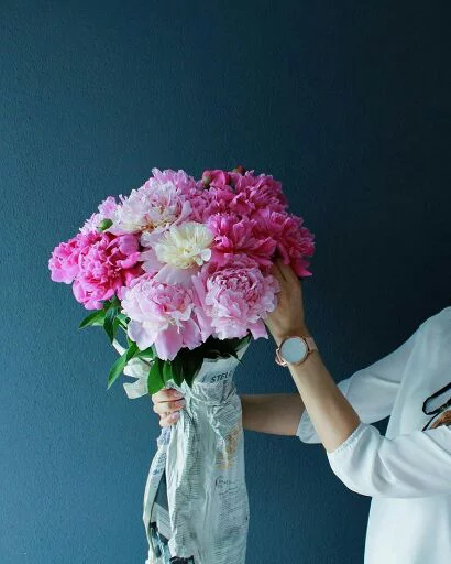 Fllowers | @Bluepione Fllowers | @Bluepione -