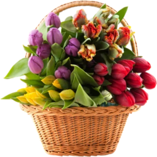 Flowers Time @stickerus Flowers Time @stickerus -