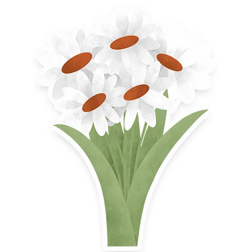 flowers flowers -