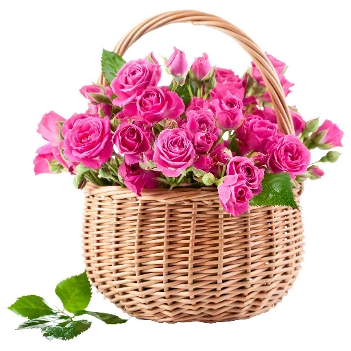 Flowers for Lovely Girl @stickerus Flowers for Lovely Girl @stickerus -