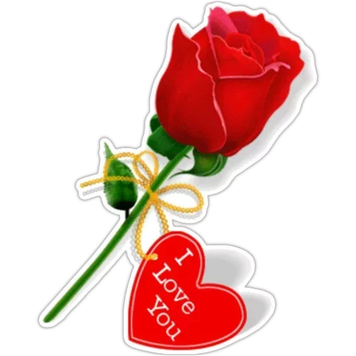 Flowers for my girl @stickerus Flowers for my girl @stickerus -