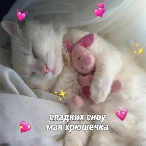 Стикер Cdftwi :: @fStikBot - 11