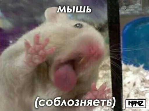 Стикер Cdftwi :: @fStikBot - 3