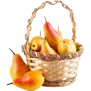 Стикер Fruit & Veg Gifts @PunjabiSticker - 0