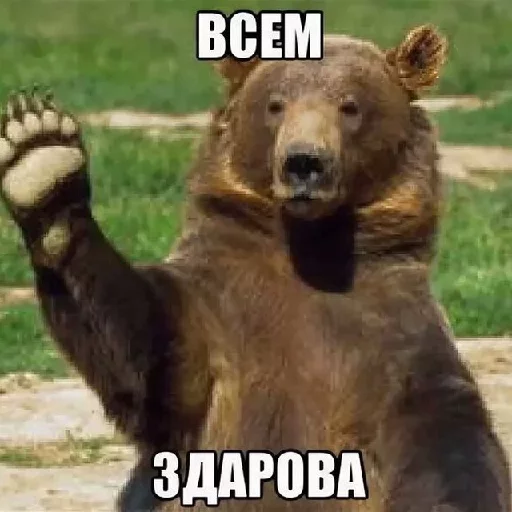 К любому чату (@vsya_telega_zdes) К любому чату (@vsya_telega_zdes) -