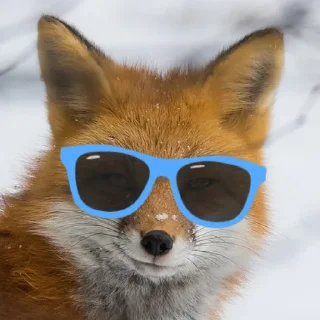 Стикер FoxxoPack - 0