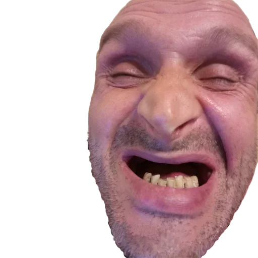 Вк Мопс Дядя Пес