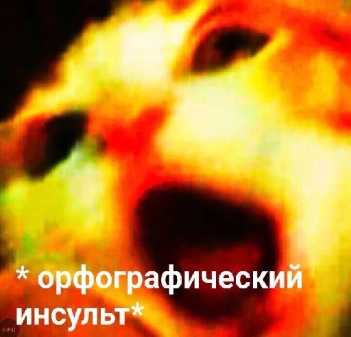 Иди на хуй,сука! Иди на хуй,сука! -