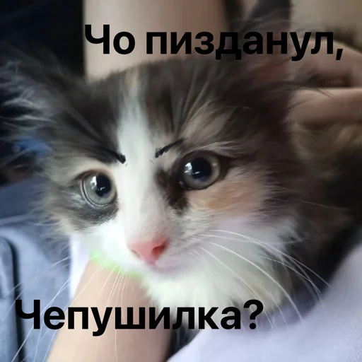 Создать стикеры|@EmojiRuBot Создать стикеры|@EmojiRuBot -