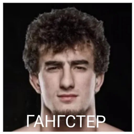GAVRIK_Pop mma GAVRIK_Pop mma -