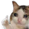Catto Catto -